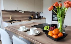 Big Apartment, 4 Bedrooms, Sauna, Free Parking - Ev Charging